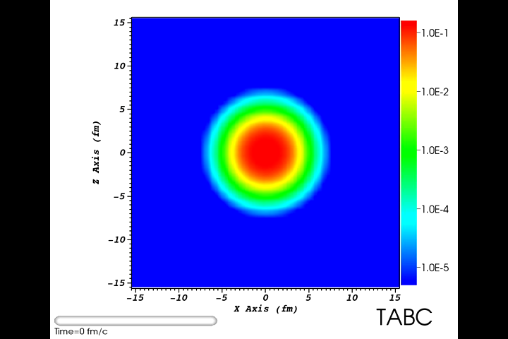 twist-averaged boundary conditions