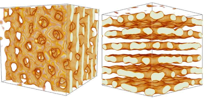 nuclear waffles