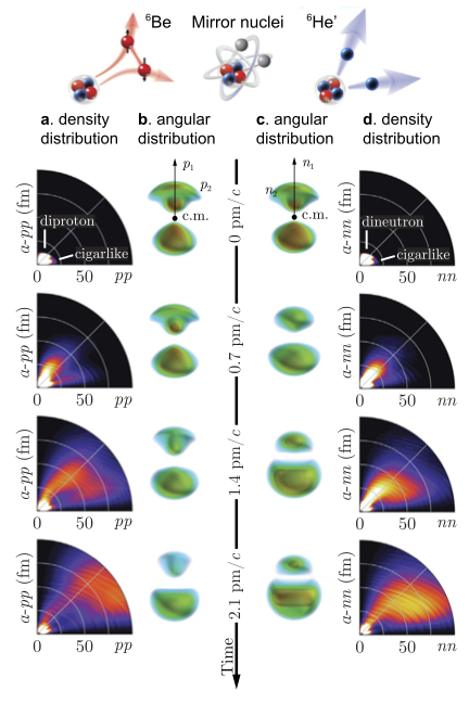 two-nucleon decay distributions